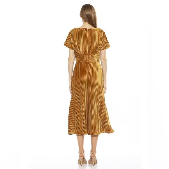 ALEXIA ADMOR Veronica Gold Pleated Velvet Midi Dress size S Wedding Party Event - Picture 3 of 11